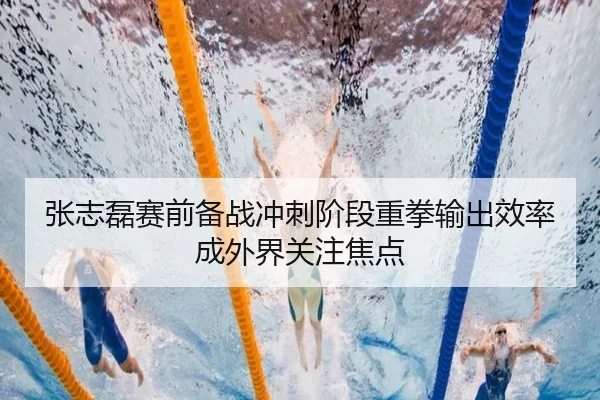 张志磊赛前备战冲刺阶段重拳输出效率成外界关注焦点